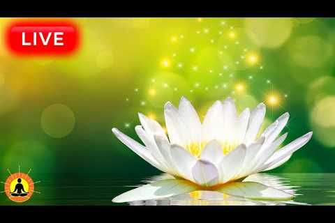🔴 Relaxing Music 24/7, Healing Music, Meditation Music, Spa Music, Sleep, Zen, Study Music, Yoga