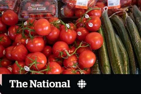 Are you being gouged at the grocery store? | Quick Question