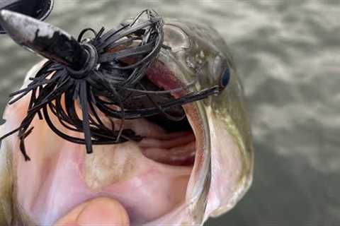 Lake of the Ozarks Fishing Report, October 25, 2022.