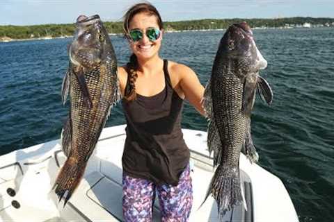 Sea Bass CATCH CLEAN &amp; COOK BEST Fish RECIPE!! Port Jefferson, New York!