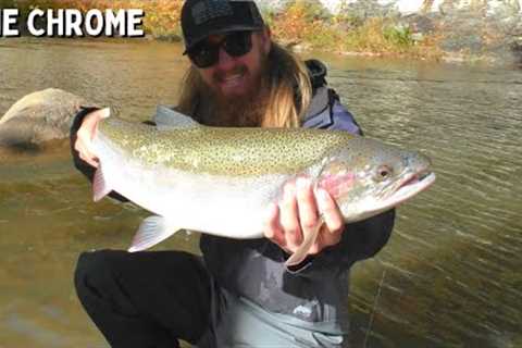 Float Fishing MUDDY Lake Erie Tributaries for STEELHEAD