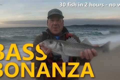 Bass Fishing UK - Crazy session 30 fish in 2 hours