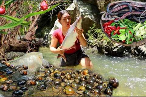 Top Adventure solo in jungle- Catch big  fish. water snake. Pick snail. for food of survival