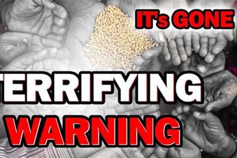 🚨SHTF NOW🚨 TOP FOOD CEO Says FOOD SHORTAGE is COMING | SHTF  PREPPER/PREPPING SURVIVAL NEWS 2022