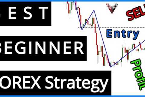 PERFECT Beginner FOREX Strategy