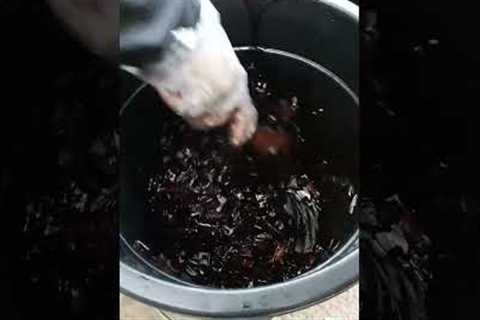 Making of Fermented Plant Juice (FPJ) for plants &amp; animals #organicfarming #shorts