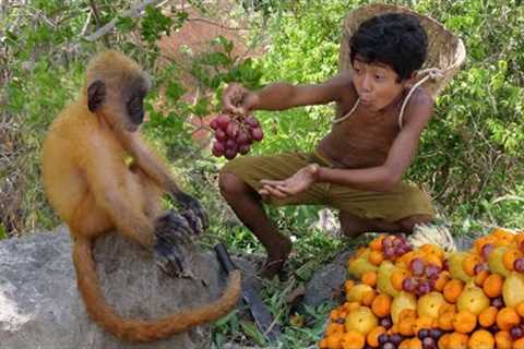 Survival Skills - Meet yellow babies monkey in the jugle