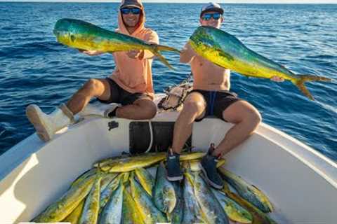 EPIC Deep Sea Trip… Non stop Mahi Mahi action!