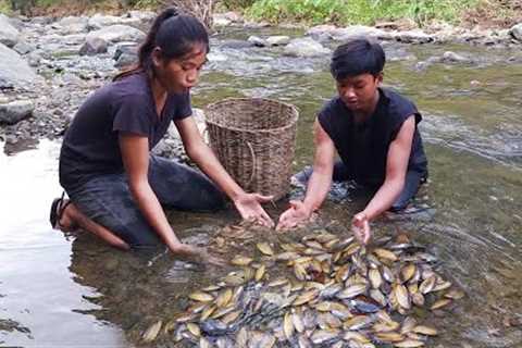 Found a lot river clamshell to cook for food - Survival cooking in forest