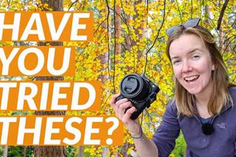10 Autumn Photography Tips You Must Try This Season 🍂