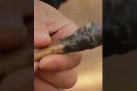 Making Glue from Trees 🌲#shorts