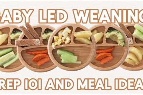 Baby Led Weaning Meal Ideas + Food Prep (single ingredient first foods)