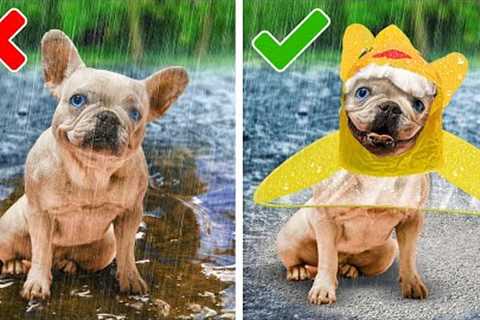 I BOUGHT VIRAL GADGETS FOR MY PETS! BEST HACKS FOR PET OWNERS