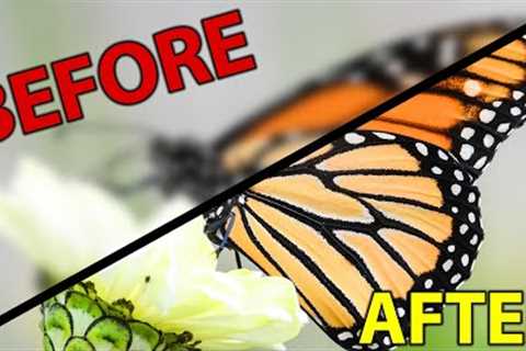 Close-up Photography Tutorial: Macro for Beginners!