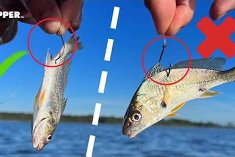 STOP LOSING BAIT! Don't Make These Beginner Mistakes (Live Bait Fishing Do’s &amp; Don’ts)