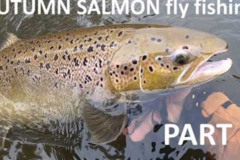 AUTUMN SALMON PART2. ART MERK FLY FISHING ADVENTURES