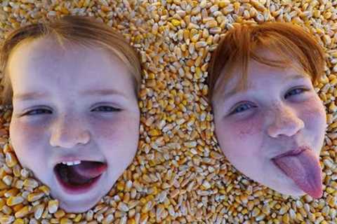 CORN KiDS a spooky 1 HOUR special 🎃  Family Halloween Party, Crafts, &amp; Painting Pumpkins the..