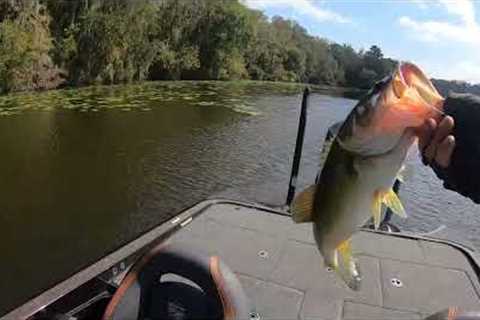 Bass Fishing on Lake Talquin on October 28, 2022  Fun few hours!