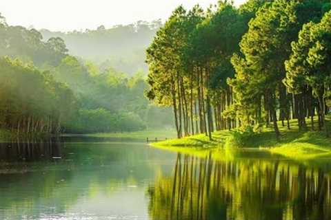 Relaxing Music With Beautiful Nature Videos 🍀 Reduce Stress, Anxiety &amp; Depression 🌿 Soul..