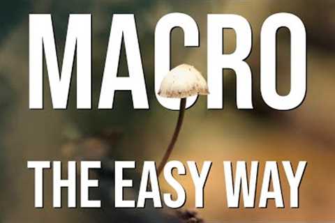 How EASY can macro photography be? (Simple hand-held tips and tricks!)