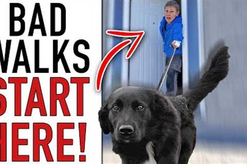 This One Step Will COMPLETELY Change Your Leash Walking Training