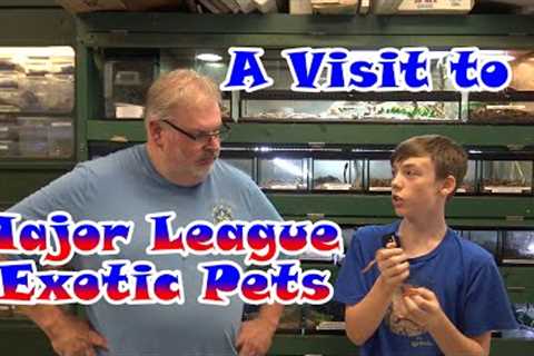 A Visit to Major League Exotic Pets