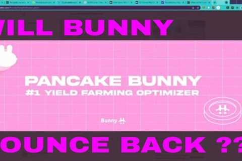 Pancake Bunny Hack tanks 96% after $200M flash loan exploit Why i Think Bunny will Bounce Back
