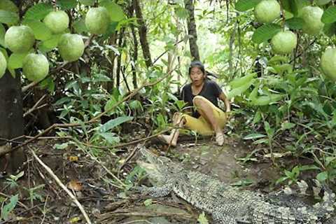 O.M.G! Meet a big wild crocodile, Pick natural guava for food - Adventure solo in jungle