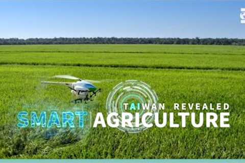 How Drones are used for Farming | Taiwan Revealed: Smart Agriculture