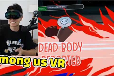 Toast Tries Among us VR for the first time