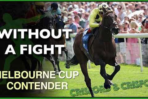 WITHOUT A FIGHT | 2022 Melbourne Cup Contender