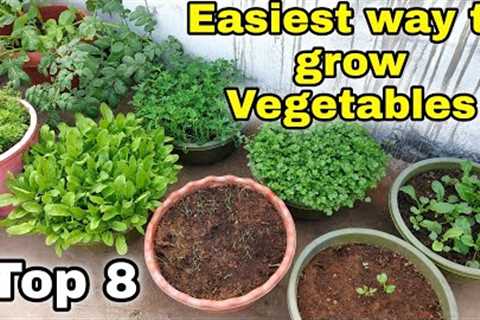 Easiest way to grow Top 8 Vegetables at Home/Garden | Small space gardening