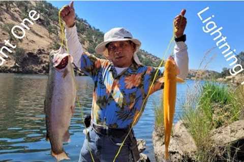 Fishing Lightning Trout N Big Giant: Nuv Ntses Daj Loj  Lake McSwain 2022