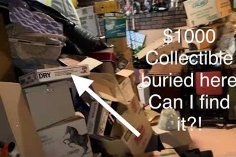 Pt 7. $1000 collectible hidden in this room, can I find it?!? Hoard clear out