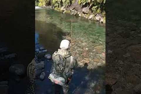 How a trout can break your heart #shorts