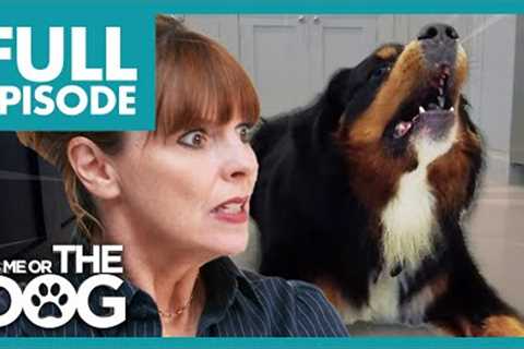 Uncontrollable Dogs Bark For Up To 40 Minutes | Full Episode | It's Me or the Dog