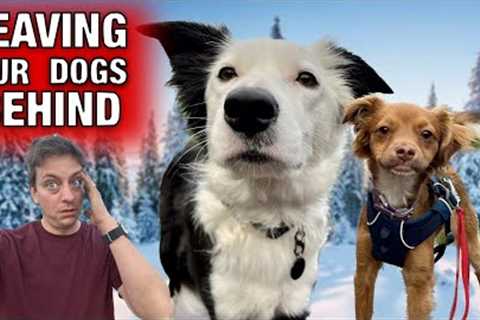 THE TRUTH: We are Leaving Our Dogs Behind in ALASKA.