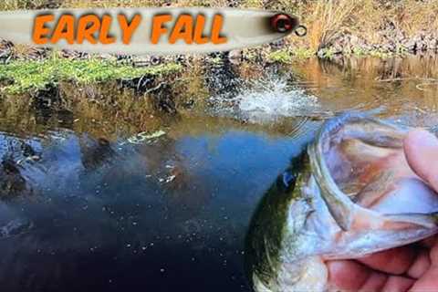 California Delta Bass Fishing.(FALL TRANSITION)