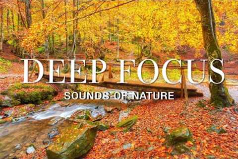 Deep Focus Music To Improve Concentration - Christmas music to help reduce stress #15