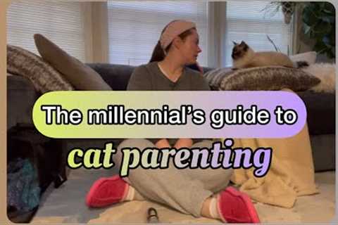 The Millennial's Guide to Cat Parenting | potroastsmom