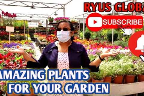 AMAZING GARDENING INDOOR AND OUTDOOR PLANTS | QUICK &amp; EASY GARDENING IDEAS | RYUS GLOBAL