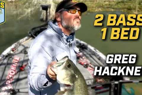 Unfiltered: 14 minutes of Greg Hackney sight fishing two bedding bass