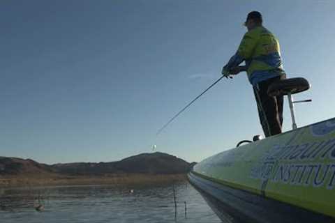 Fishing with Johnny Johnson - May Spinnerbaits - Alamo Lake, AZ