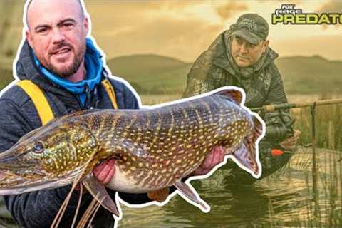Big Pike Obsession | Deadbaiting | Keep moving to find the BIG one