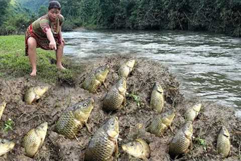 Survival Skills: Catch Meet Many Fish in Hole Dry - Fishing And Solo Bushcraft Grow Living Wild