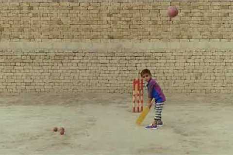 Top 10 social media viral video cricket | Umair khan17