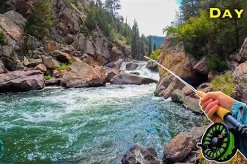 Fly Fishing a GORGEOUS Canyon for Trout! (Tenkara vs Western Fly Fishing)