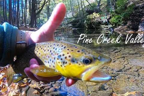 Fall Trout Fishing in the Pine Creek Valley (PA)
