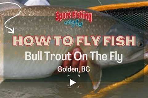 FLY FISHING: BULL TROUT ON THE FLY