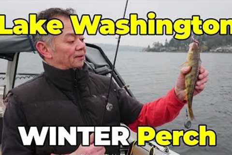 Lake Washington Winter Perch Fishing Tips - Extended Cut